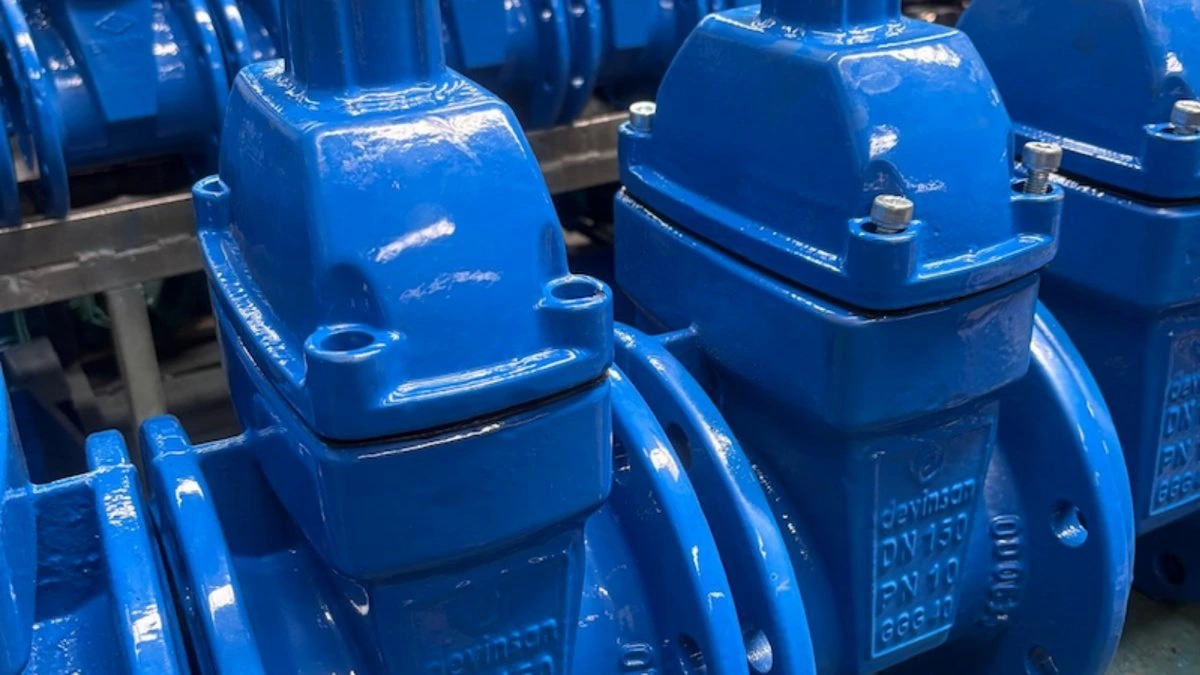 Detail of blue-coated Devinsan gate valve products