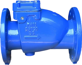 DCV11 Swing Check Valve