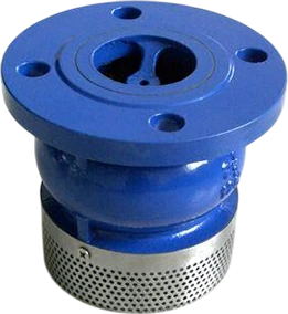 DCV18 Foot Valve
